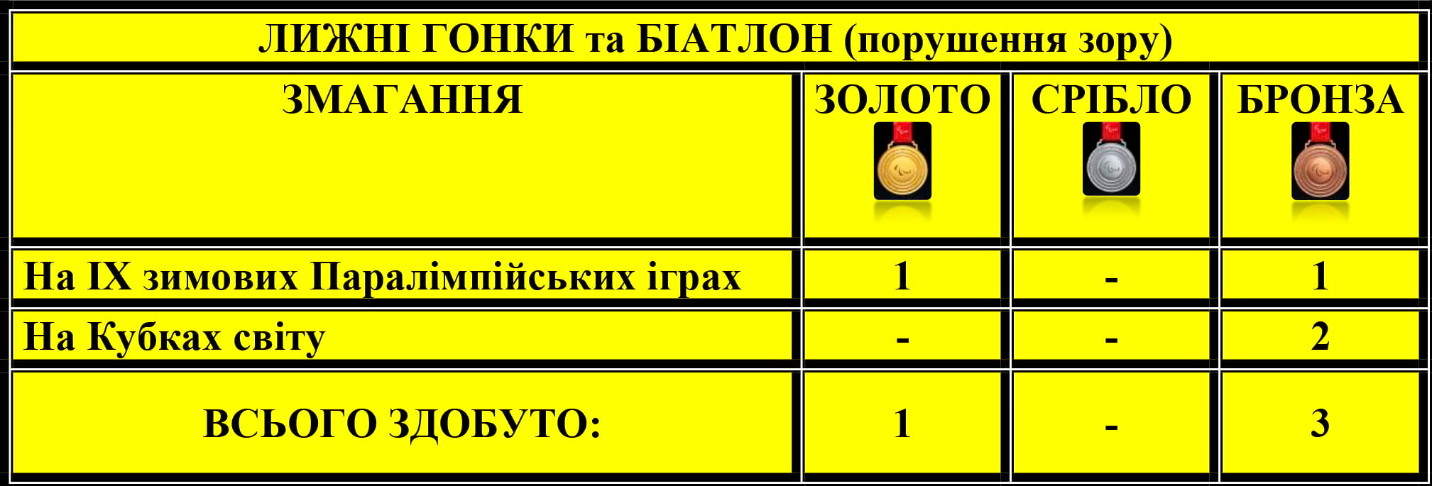 Лижні гонки та біатлон (порушення зору)